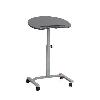 Стол для ноутбука, цвет серый, МДФ, глянц. эмаль, серый металл. каркас, размер 55 см(ш) х 40 см (д) х 58/71 см (в) LT-HG005/gray