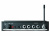 Shure P3TERA215CL-K3E Беспроводная система персонального мониторинга