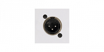 CP45XLMS/W