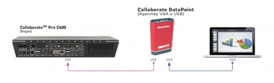 Collaborate datapoint