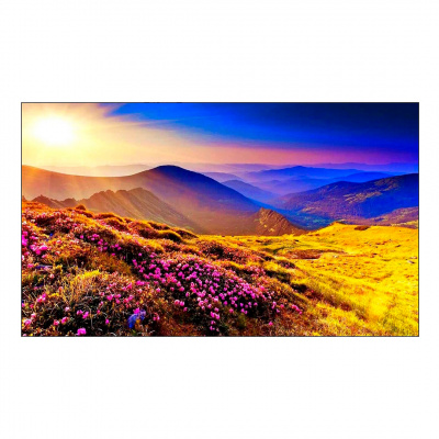 ЖК панель для видеостен 55" Prestel VWP-5517HB