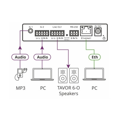 DSP-1