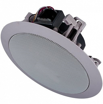 CS55D/W