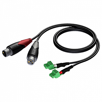 CLA835/1