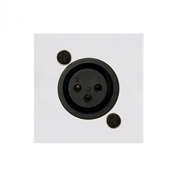 CP45XLFS/W