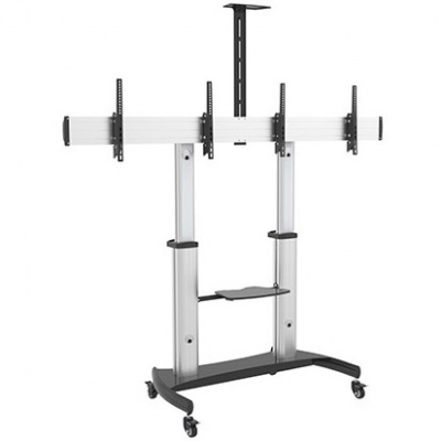 BSM-100-60/2TV