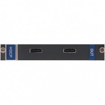 DVI-IN2-F16/STANDALONE