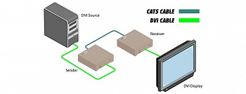 EXT-DVI-1CAT5-ELR