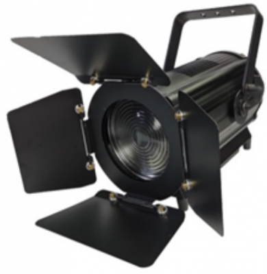 FLASH 300