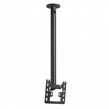 CT243022 Black