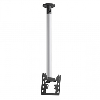 CT243022 Silver